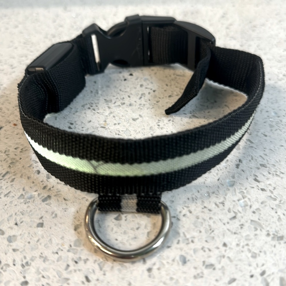 LED Dog collar in size small
